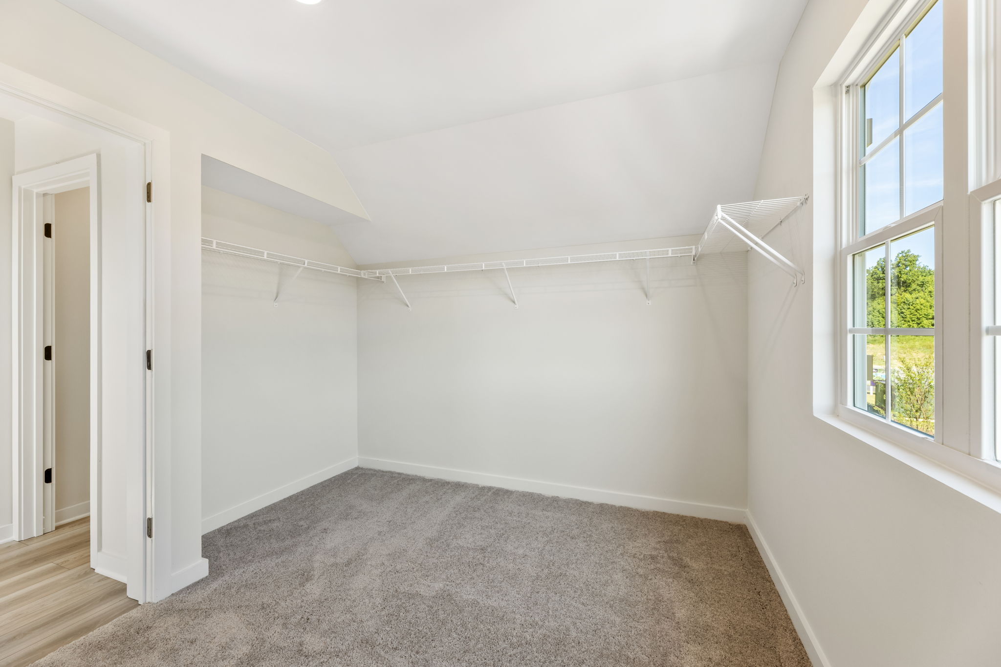 A room with a carpet and windows.